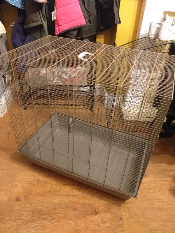 gumtree rat cage